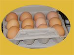 eggs
